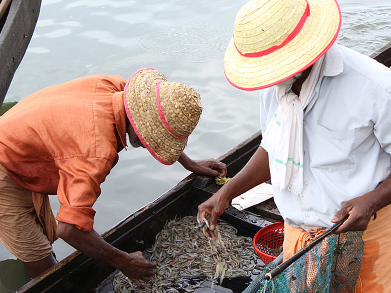 水產(chǎn)養(yǎng)殖檢測儀測定水質(zhì)
