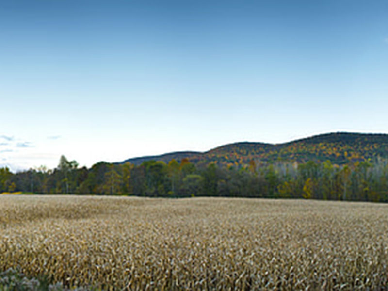 測定植物的營養(yǎng)，為農(nóng)戶取得更大效益