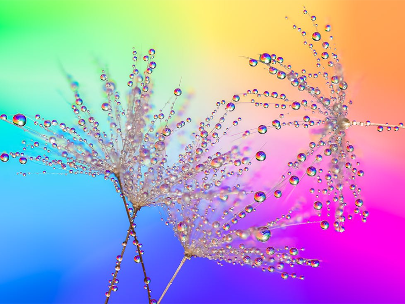 生活飲用水硝酸鹽標(biāo)準(zhǔn)值（水質(zhì)硝酸鹽檢測(cè)國(guó)標(biāo)）