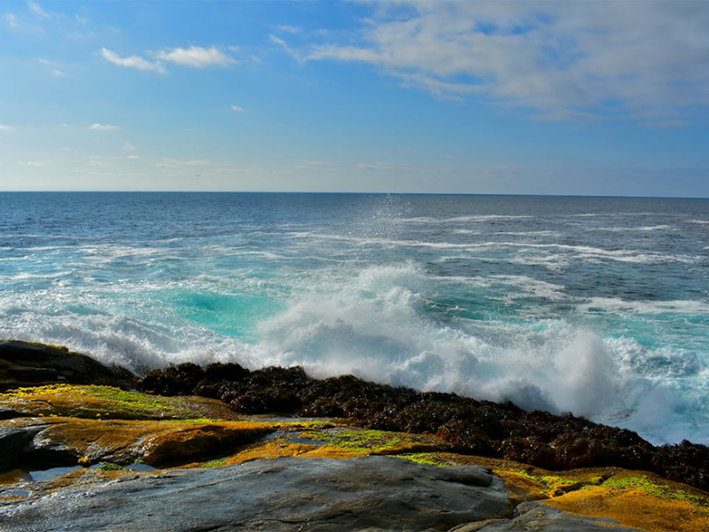 pH計的校準步驟及常見問題（pH計使用注意事項）