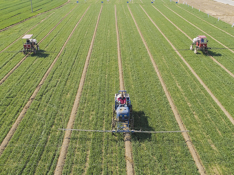 土壤肥力測(cè)試儀 土壤肥力測(cè)試儀